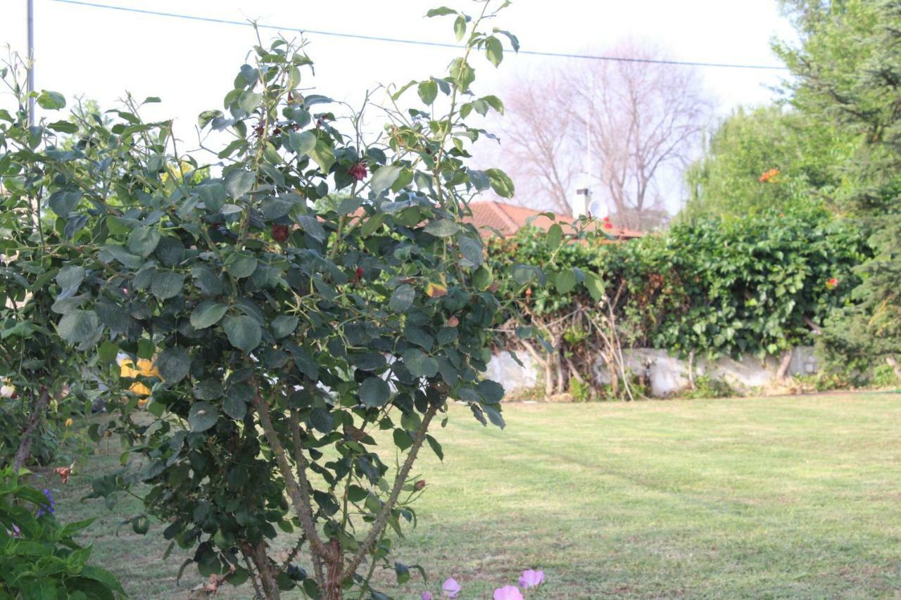 Maria'S Guesthouse Keramotí Exteriér fotografie